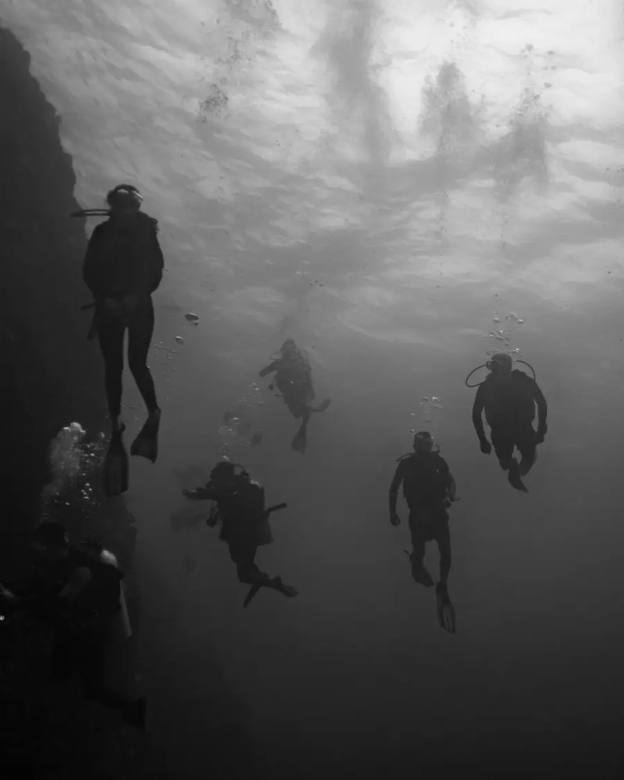 Des plongeurs descendent en file le long d’un tombant, en silhouette contre la lumière de la surface.